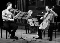 Wiener Mozart Trio